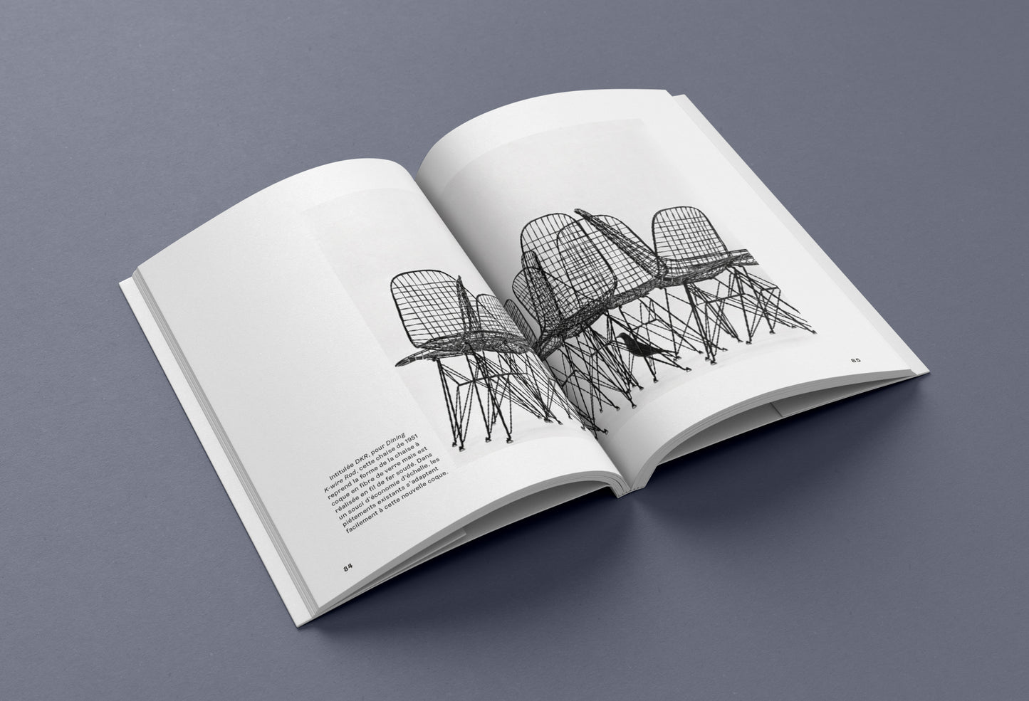 Charles et Ray Eames